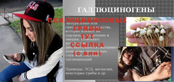 ПСИЛОЦИБИНОВЫЕ ГРИБЫ Алексеевка
