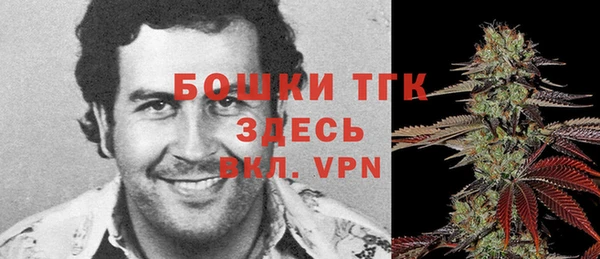 ПСИЛОЦИБИНОВЫЕ ГРИБЫ Алексеевка