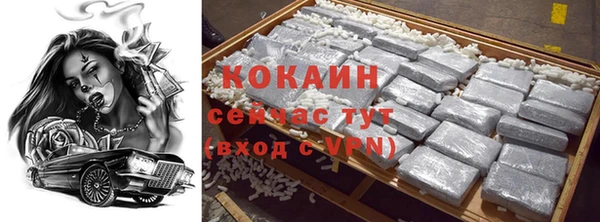 соль ск Алексин
