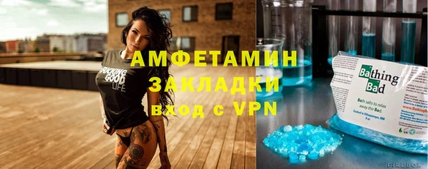 стаф Алзамай