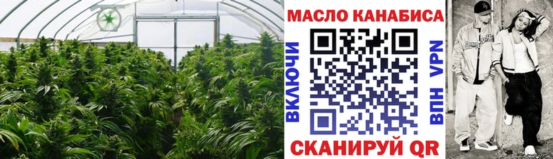 ТГК гашишное масло  Моздок 